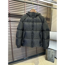 Louis Vuitton Down Jackets